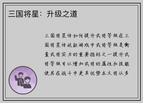 三国将星：升级之道