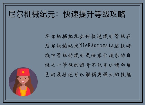 尼尔机械纪元：快速提升等级攻略